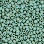 Miyuki seed beads 11/0 - Opaque glazed frosted rainbow celadon green 11-4701